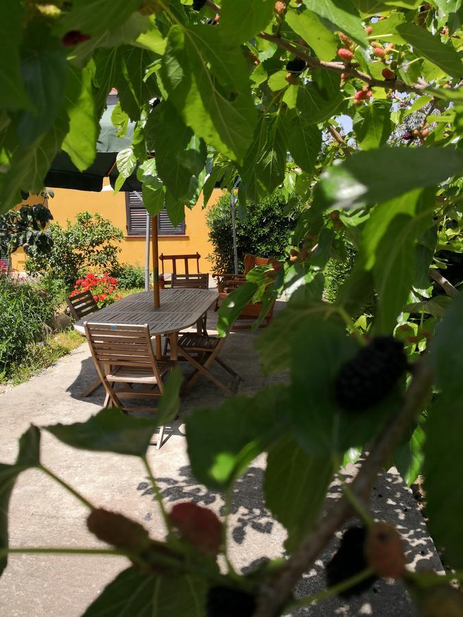 Gassa D'amante Bed & Breakfast *
